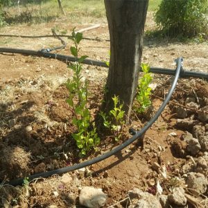 لوله پلی اتیلن 25